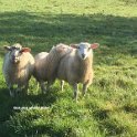 Get out of our field