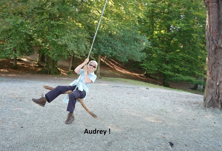 F4_AUDR1