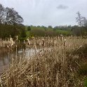 IMG_2352