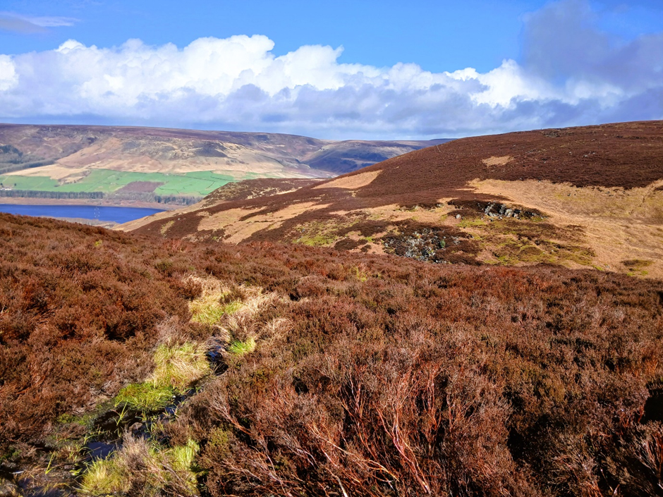 N_from_Pennine_Way_5-4-26.jpeg