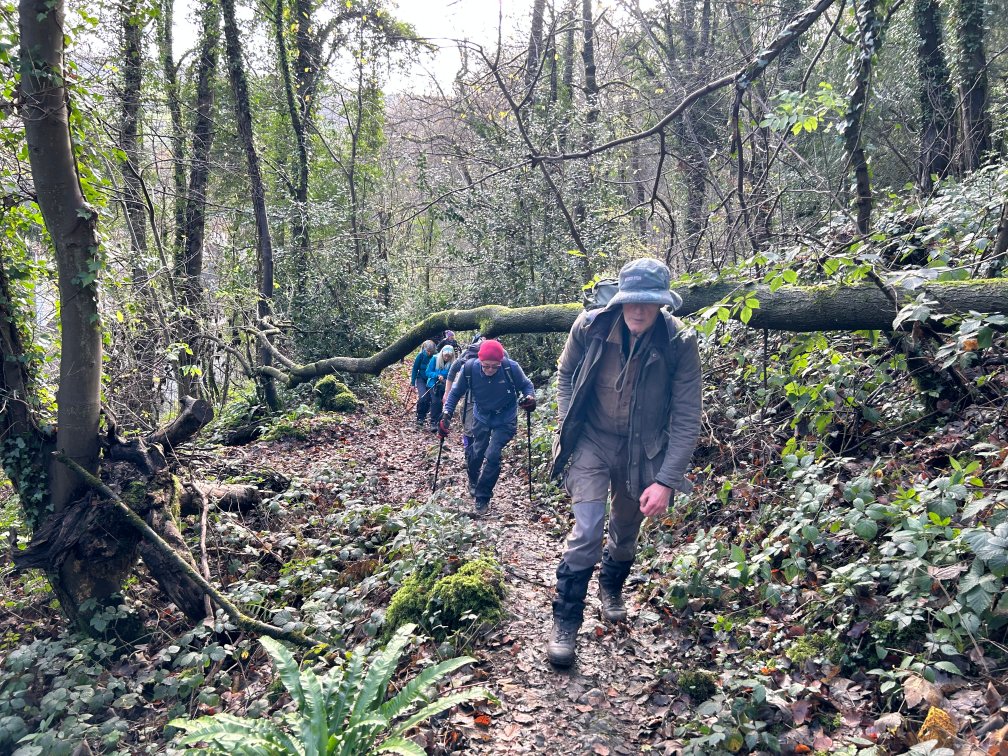 2025 11 16 Photo in the woods