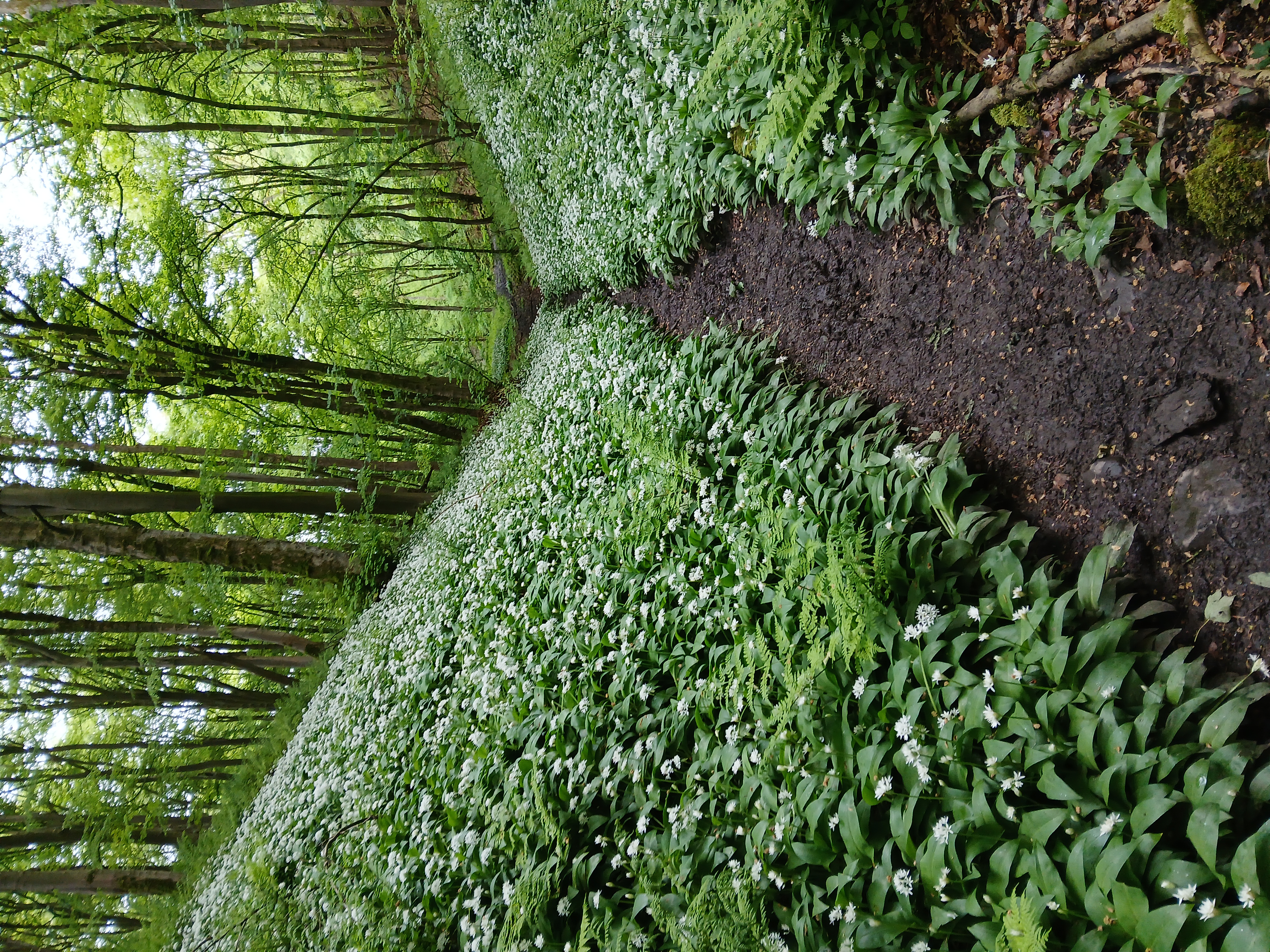 2026 05 17 12.13.56