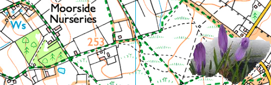 spring routes